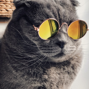 台版打真军一挑三
